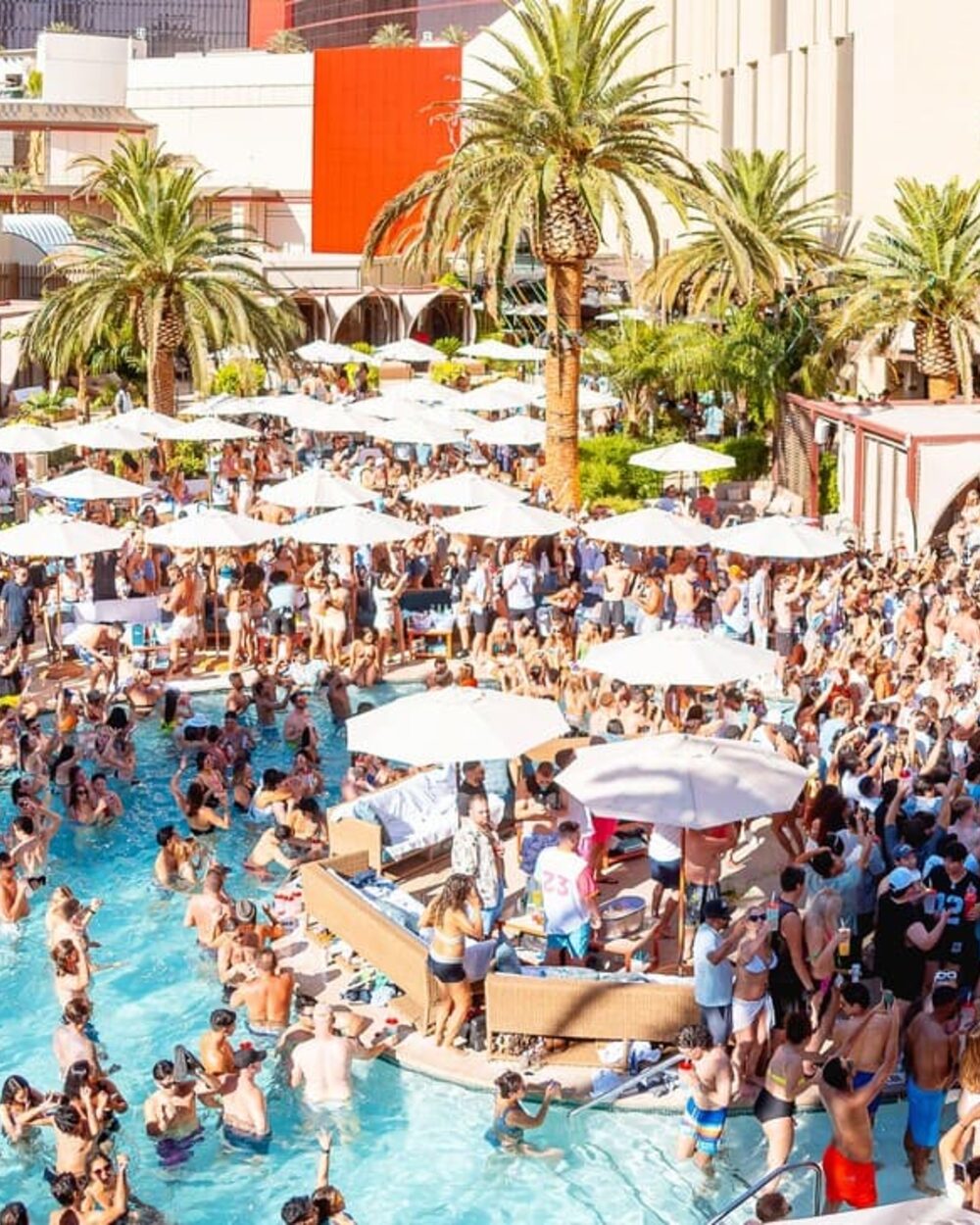 Ayu Dayclub in Las Vegas