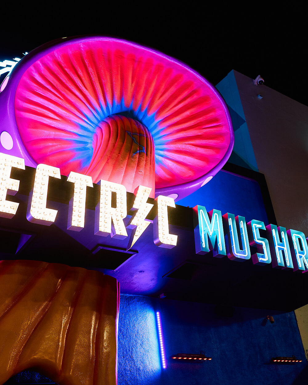Electric Mushroom in Las Vegas