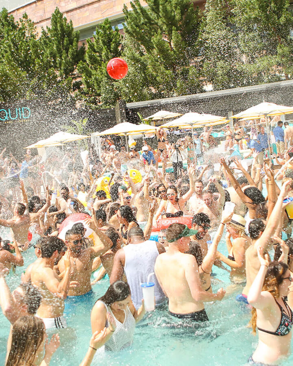 Liquid Pool Lounge in Las Vegas